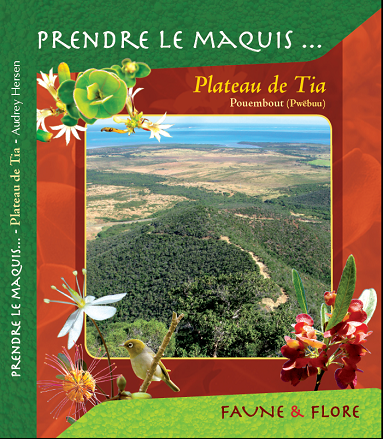 Plateau de Tia Province Nord