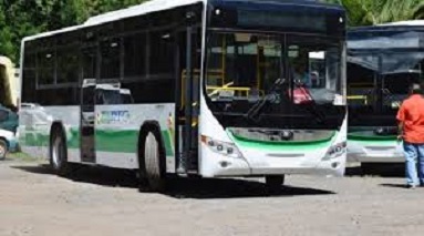 bus