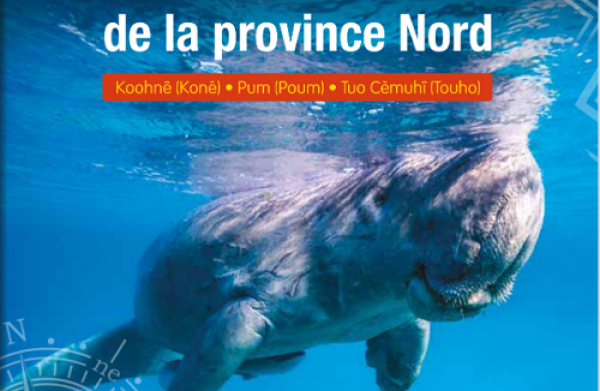 agenda des marées province Nord 2023