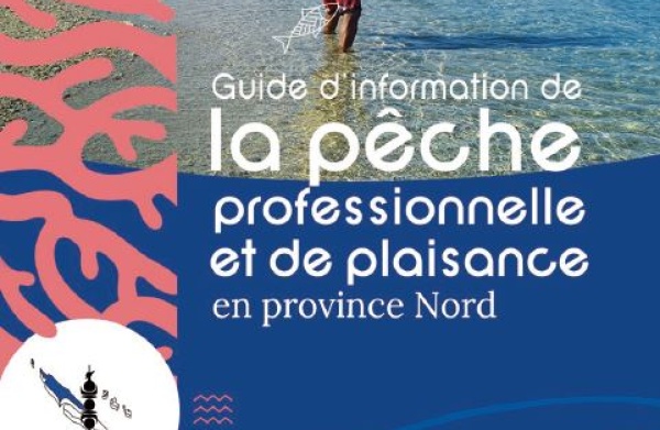 Guide d'information de la pêche professionnelle et de plaisance province Nord 