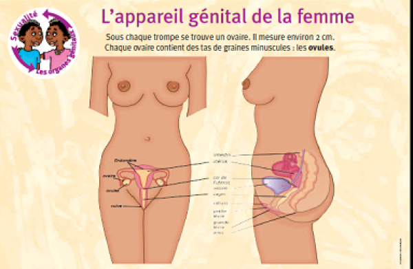 anatomie femme Province Nord
