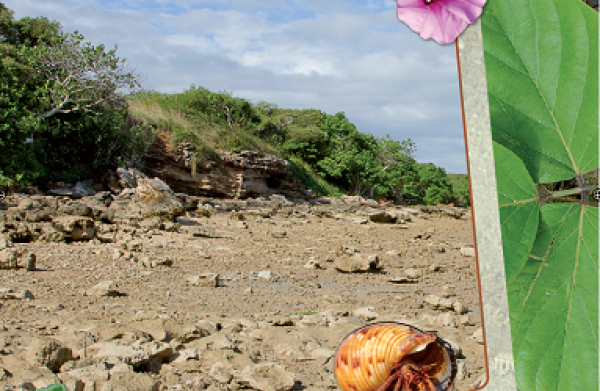 Le bord de mer Province Nord