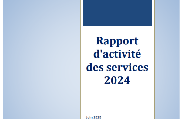 Rapport activité des services 2024