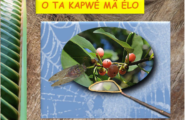 O ta kapwé mâ élo