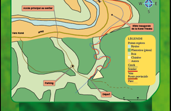 Sentier Tamanou fiches flore Province Nord