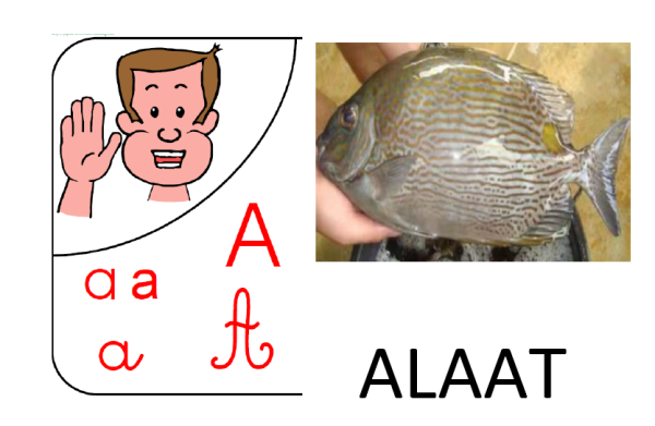 Sons en Nêlêmwa