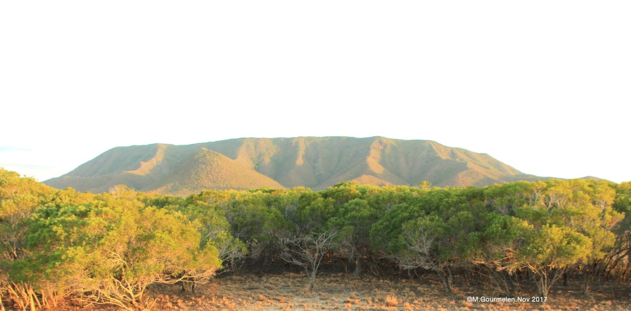 Plateau de Tia Pwëbuu (Pouembout).©M.Gourmelen.Nov 2017