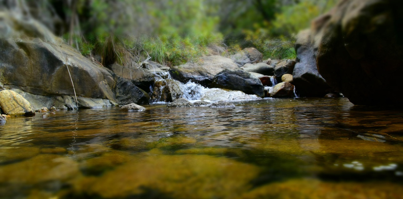 Rivière de la chaîne Nékö (Poya)