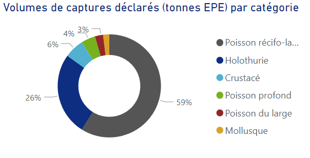 Volumes de captures déclarés