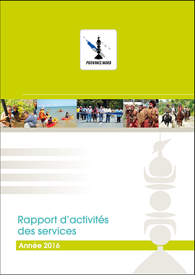 Rapport activités 2016