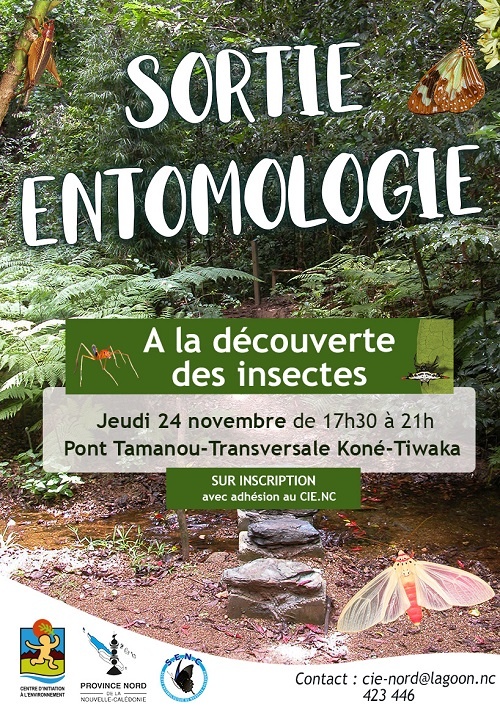 Sortie CIE Koné Province Nord
