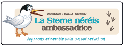 La Sterne néréis