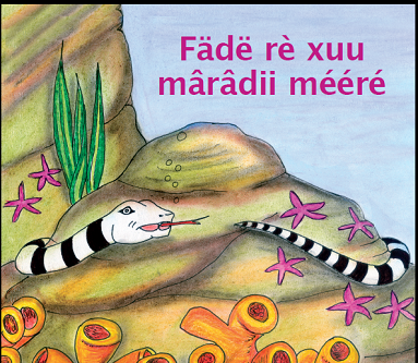 balade du petit tricot xârâcûû Province Nord