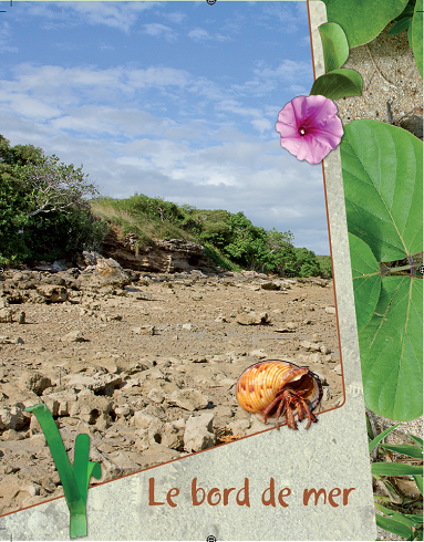 Le bord de mer Province Nord