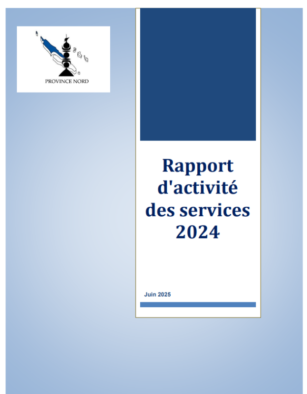 Rapport activité des services 2024