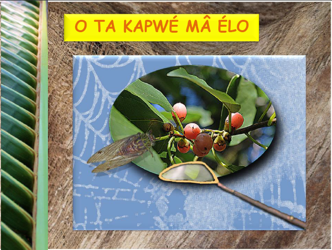 O ta kapwé mâ élo