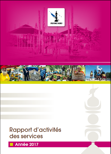 Rapport d'activités 2017 des services