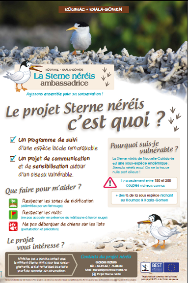 Affiche sterne néréis Province Nord