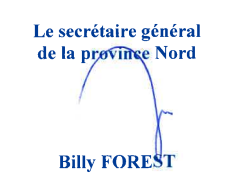 Signature Billy Forest