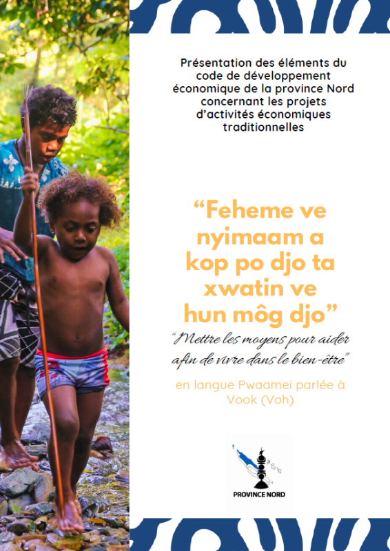 Projet d'activités économiques professionnelles province Nord 2025