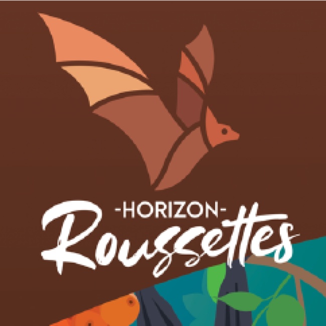 Horizon roussettes