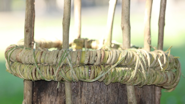 base de la corbeille